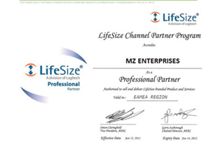 LifeSize Partner Certificate